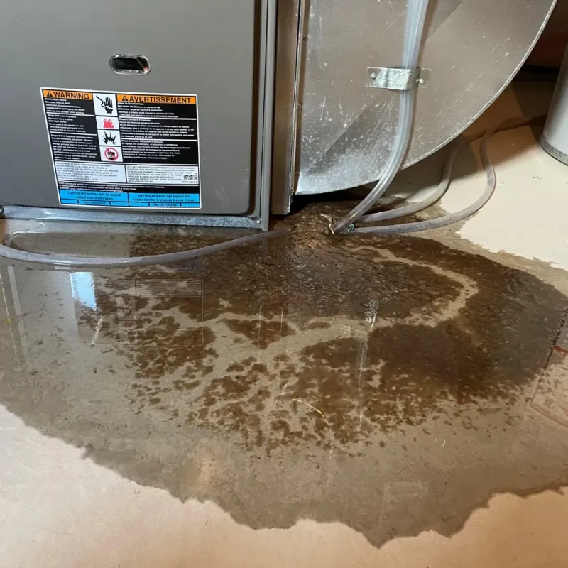 Appliance Leak Cleanup in Auburn, KY
