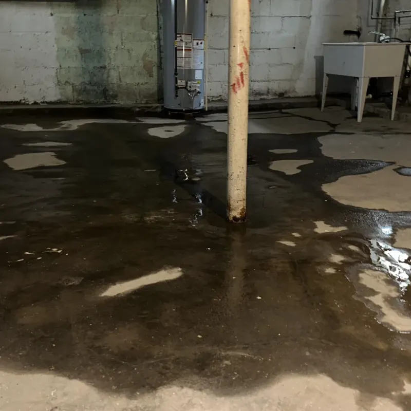 Emergency Water Extraction And Removal in Auburn, KY